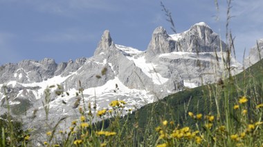 © Elisa Schöllhorn