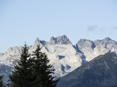 © Elisa Schöllhorn