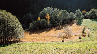 © Julia Mangeng / Projekt Loccata