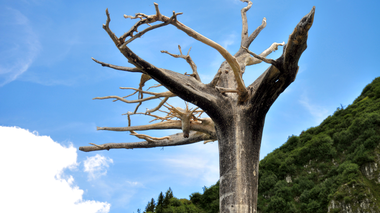 © Ines Agostinelli & Roland Haas / Montafon