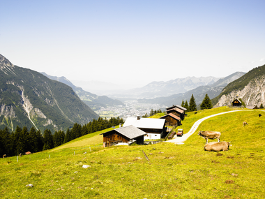 © Elisa Schöllhorn