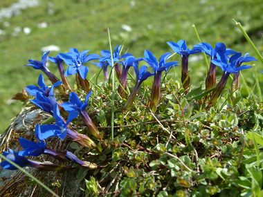 © Roland Fritsch / Lindauer Hütte