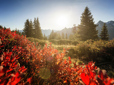 © Andreas Haller / Montafon