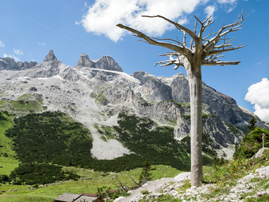 © Andreas Haller / Montafon