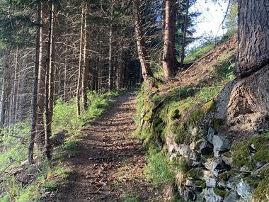 © Roland Fritsch / Montafon