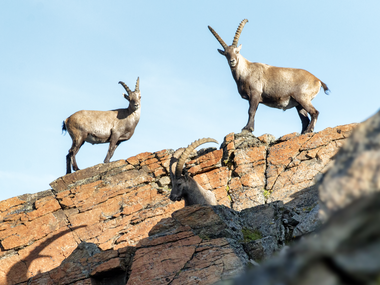 © Montafon Tourismus, Andreas Haller / Montafon