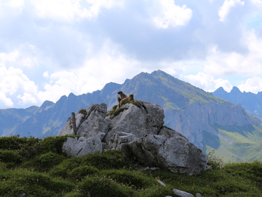 © Roland Fritsch / Montafon
