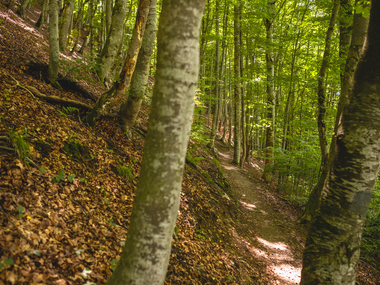 © Stefan Kothner / Montafon