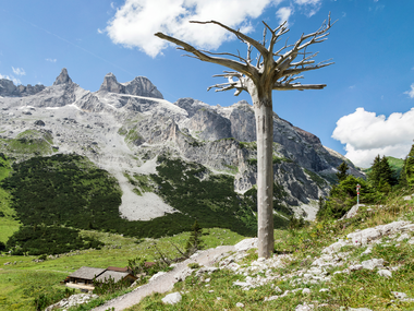 © Andreas Haller / Montafon