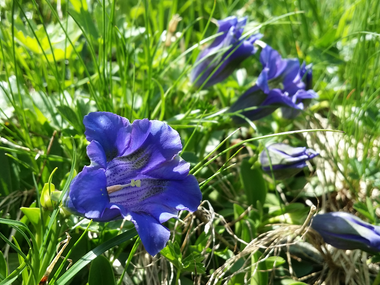 © Christina Wachter